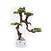 Sztuczne Drzewko Bonsai Sztuczne bonsai drzewo chińskie ceramiczne doniczki realistyczne silikonowe liście delikatne naturalne gałąź tekstury domu salon biurowy dekoracji Bonsai
