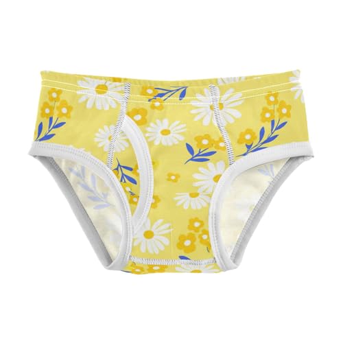 Summer Flowers Floral Yellow Toddler Boy's Underwear 2T 2302217