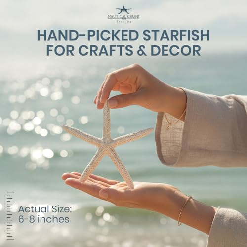 Starfish Decor - Star Fish for Craft - 10pk Real 6-8" White Sea Stars - Beach Wedding Decor - Coastal Party Decorations - Seashell Décor by Nautical Crush Trading - Used condition - Image 4