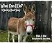 What Can I Do? A Donkey-Donk Story (Donkey-Donk Series, Book 1) (The Donkey-Donk Series)