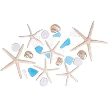 Sea Shells - White Real Mixed Beach Seashells 25 Pieces with Starfish & Sea Glass - Shells for Crafts - Ocean Decor - Beach Party Decorations - Seashell Decor - Large Shells Crafts