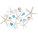 Nautical Assortment 25 Pieces | White Finger Starfish | Sea Biscuit | Aqua Blue Sea Glass | Clear Sea Glass | Pearlized Turbo Shells | Shells for Crafts | Nautical Crush Trading TM