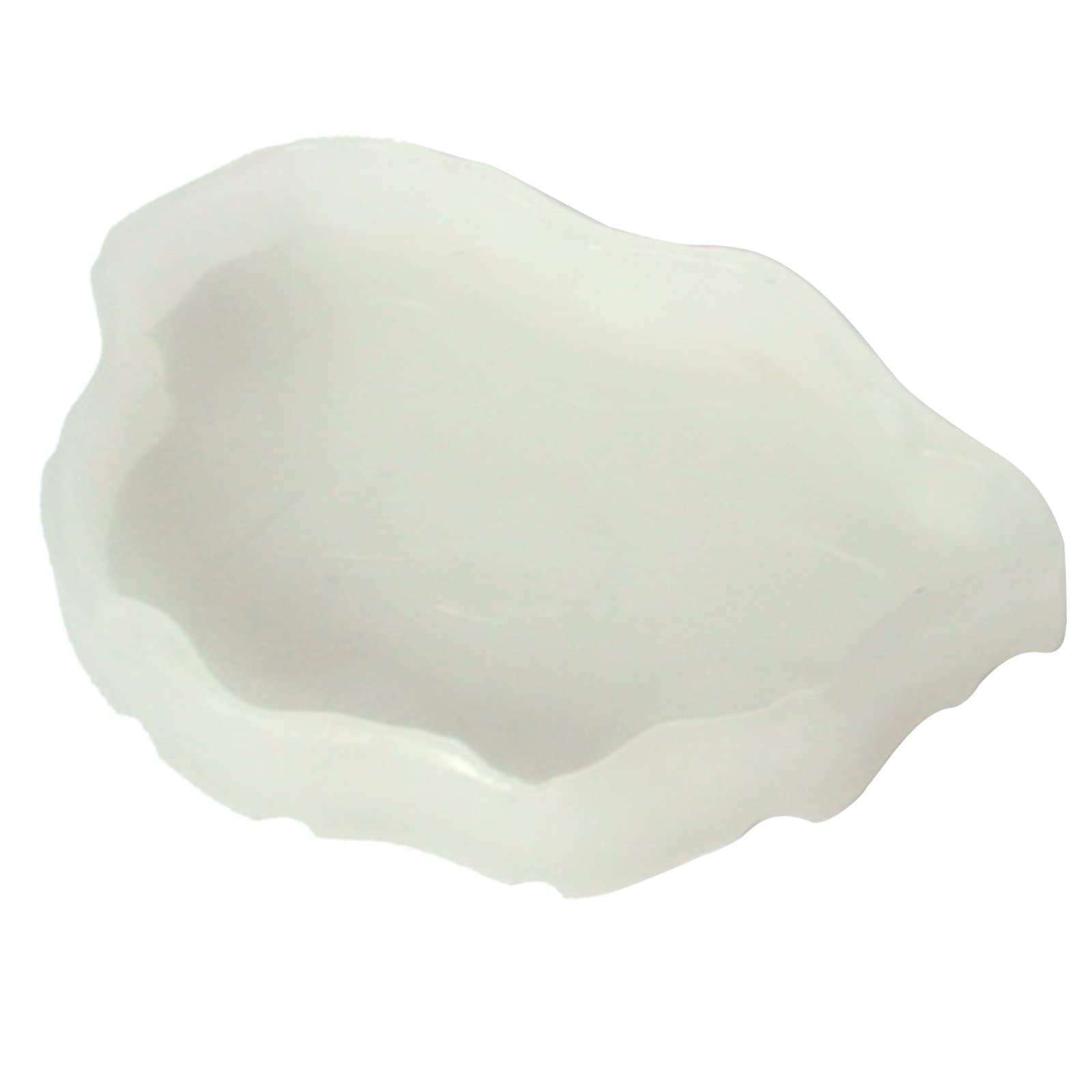 IWOMA Food Bowl Food Water Dish Bearded Dragon Feeding Dish Dish for Anoles Turtles, Night color