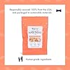 King Lou Pets - Wild Salmon Bites - Freeze Dried Treats for Dogs - Single Ingredient Dog Treat - USA-Made Salmon Treats for Dogs- Omega Rich for Skin & Coat Health - 1 lb Prior to Freeze-Drying #1