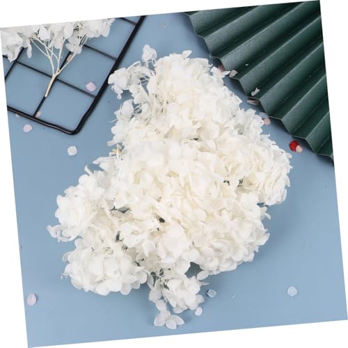 Pétalos de hortensia natural secados para decoración blanco miniatura 6