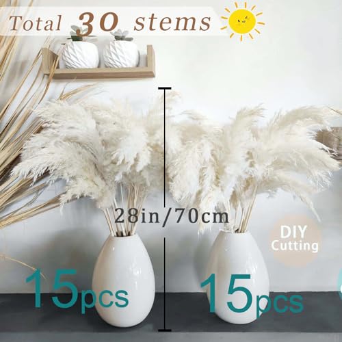 Image of 30 Stems 28 inch inch Large White Pampas Grass Fluffy, Boho Home Decor, Natural Fluffy Pompas Grass Pampas for Living Room Decor, Table Decor, Boho Decor Floor, Party Wedding Decor