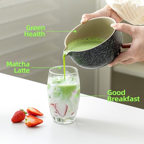 TEANAGOO Matcha Whisk,9 Pcs Ceramic Matcha Set,Matcha Kit for Ceremony,Matcha Tea Set for Making Breakfast/Matcha Latte,Matcha Whisk and Bowl Set with 2 Matcha Cups(7.2oz),Gift for Matcha Lover