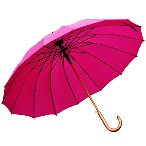 P P JP Y fB[X amP v 傫ȎP 16{P y aP ϕP OXt@Co[ ϕ  ~J΍ J΍ ʋΒʊw ([Ybh)