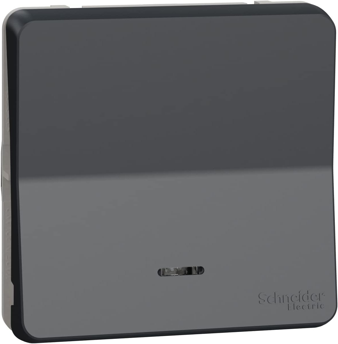 Schneider Electric MUR35025 Switch with LED, IP55, Grey