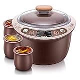Healthy Purple Clay Slow Cooker – Pentola elettrica intelligente da 2,5 l per pasti in famiglia con appuntamenti e cottura a vapore