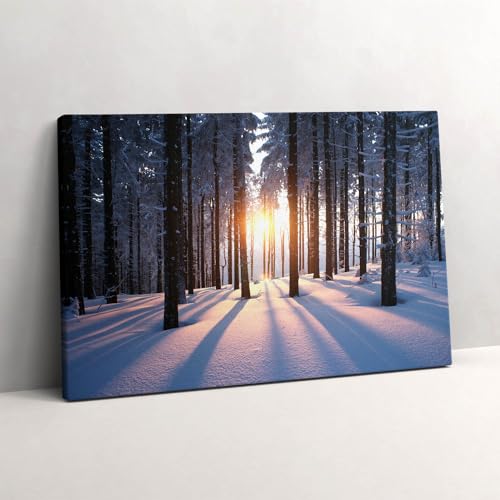 Tableau photo sur toile forêt en hiver 60x40cm pour décoration murale