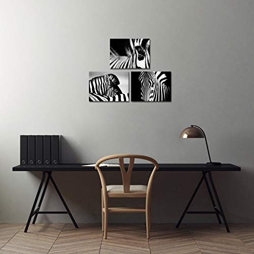 Klvos Animal Wall Art Canvas Prints Zebra Horse Picture Black White Animal Contemporary Wall Decor Stretched Ready To Hang For Home Office Living Room Bedroom Bathroom Nursery Room 12X16Inchx3Pcs #TOP2