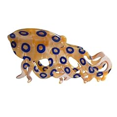 Blue-Ringed Octopus
