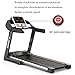 Fitness Club EléCtrico Caminadora,Rueda De Andar,Fitness Cinta De Correr Plegable De Alta-Velocidad,...