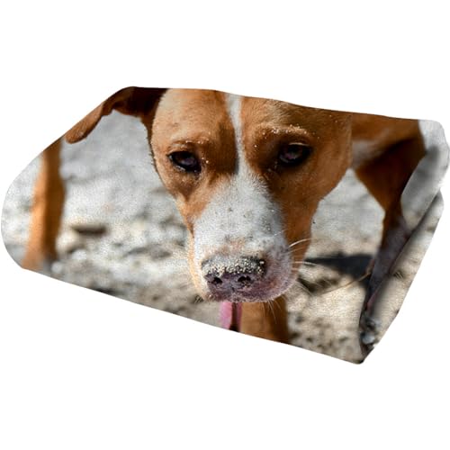 FrameStory Custom Personalized Beach Towel with Photos and Text, Fully Customizable with Your Pictures and Message, Super Soft Silk Touch, Velour Beach Towel, 30