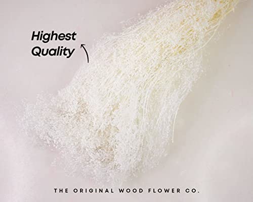 Sola Wood Flowers Preserved Greenery Baby's Breath White 14" To 18" 4 Oz Floral Filler For Flower Arrangements, Home Decor And Diy Wedding Flower Assortments #TOP5