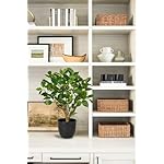 Briful 43CM Kunstpflanze Wie Echt Künstliche Ficus Pflanzen in Schwarzem Topf Dekopflanze für Fensterbank Wohnzimmer Badezimmer Dekoration – Bild 3