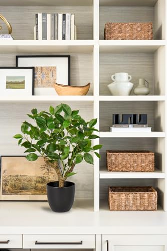 Briful 43CM Kunstpflanze Wie Echt Künstliche Ficus Pflanzen in Schwarzem Topf Dekopflanze für Fensterbank Wohnzimmer Badezimmer Dekoration – Bild 4