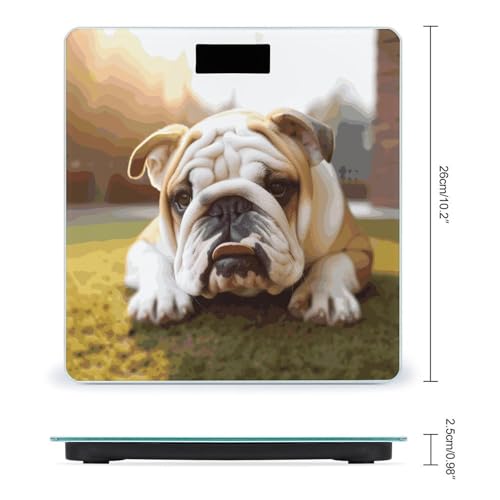 Báscula Digital de Baño Cachorro Bulldog Estilo miniatura 2