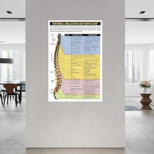Colonne vertébrale toile explicative pour thérapie physique - 2