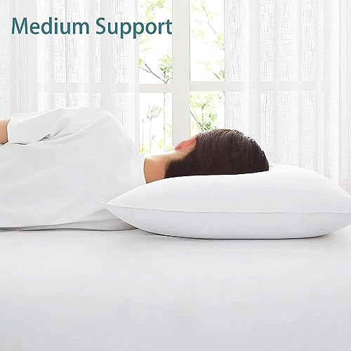 Image of Acteb Flat Thin Pillows Queen Size Set of 2 Pack Bed Basic Sleeping Pillow for Stomach Sleeper 20x30 Inches