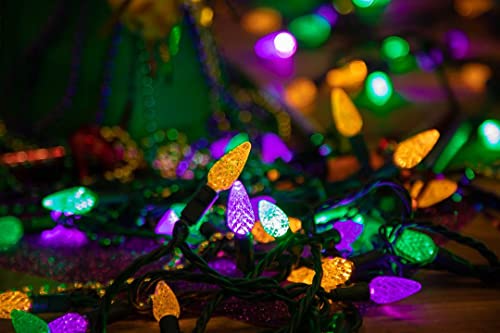 Novelty Lights CGC670-G-Y/P/G ‎‎‎Novelty Lights 24Ft 70 Led C6 Led Mardi Gras String Lights, Outdoor Christmas Tree Commercial Grade Led String Lights thumb #6