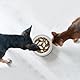 PETTOM Napfunterlage Katzen Rund, Futtermatte Hund Silikon, Futternapf Unterlage rutschfest