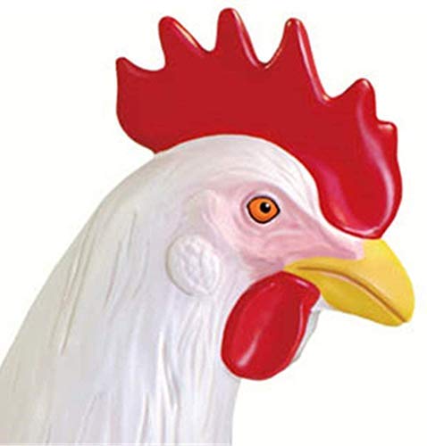 Anatomisches Tiermodell – Anatomisches Modell Huhn, abnehmbare 32 wissenschaftliche anatomische Tierteile – für medizinisches Ausbildungsmodell in der Tierbiologie