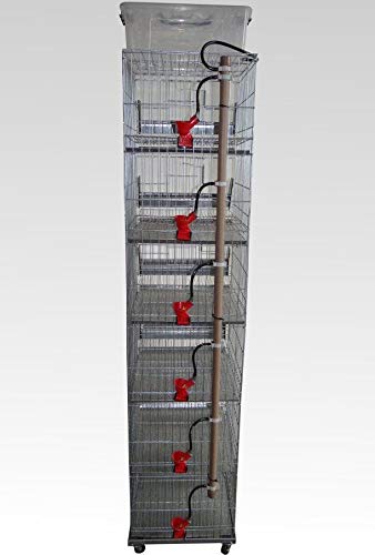 Bateria de 6 gaiolas para codorna