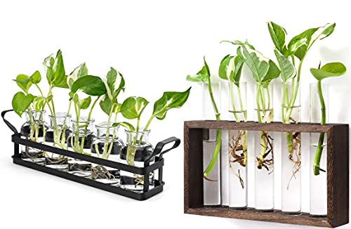 Mkono Set Of 2 Different Glass Planter Plant Terrarium Modern Flower Bud Vase Tabletop Terrariums For Propagating Hydroponic Plants Plant Cutting Cute Diy Home Office Decoration #TOP10