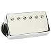 DiMarzio DP211 Regular Spaced Eric Johnson EJ Custom Humbucker Neck Pickup, Nick