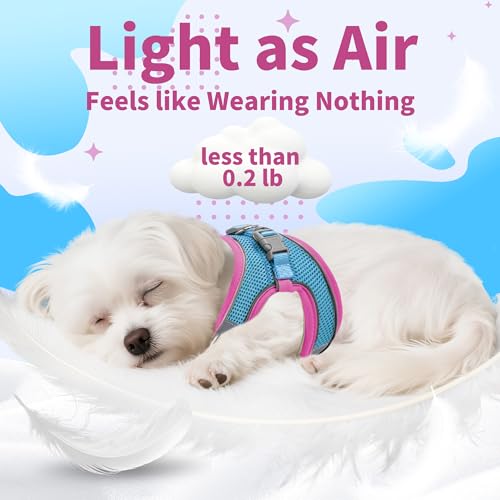 Image of AIITLE Step in Dog Harness and Leash Set - Summer No Pull Escape Proof Vest Harnesses with Soft Mesh and Reflective Bands, Adjustable Pet Outdoor Harnesses for Small and Medium Dogs Hot Pink M