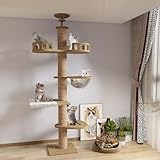 タワーキャット