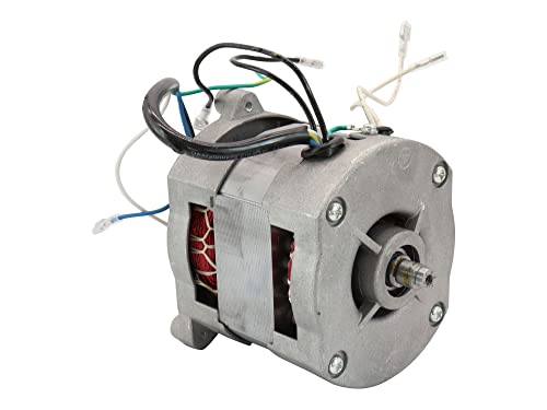 Moteur SECURA compatible Scheppach bts 800 entraînement stable et performant - 3