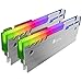 Jonsbo ARGB RAM Cooler, Rafraîchissez Le Style de Votre Ordinateur en 16 Millions de Couleurs, Heat Sink PC, Overclocking Mod DDR DDR2 DDR3 DDR4, Gris avec RGB, Pack de 2X NC-3 ARGBX2