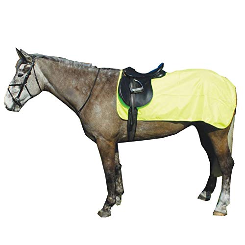 Rhinegold 3/4 Waterproof Ride On