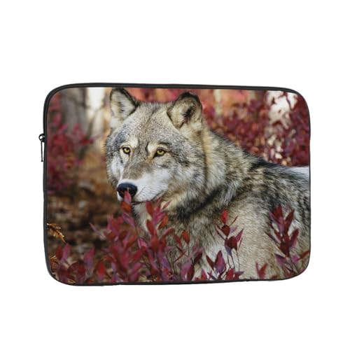 Ή IIJ~ 12 Inch PcP[X Pc[Jo m[gpc P[X rWlX 