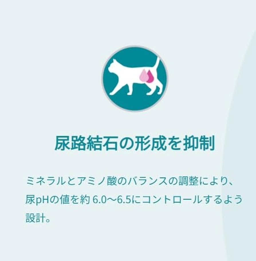 PURINA ONE 「下部尿路の健康維持」サーモン＆ツナ 2kg×4.5袋 ピュリナワンキャット 下部尿路健康維持FLUTHサーモンツナ ( 2kg