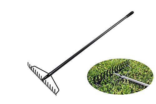 Old Tjikko Rake Garden Tool