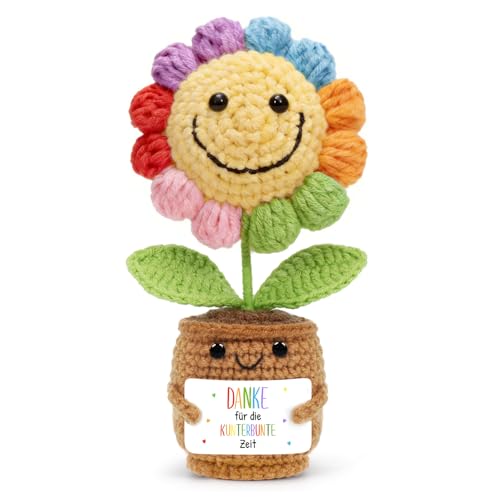 HUKUMA Gestrickte Sonnenblumen Dankeschön Gehäkelte Pocket Hug Positive Blume Häkelblumen Erzieherin Geschenk Danke Erzieherin Abschied Abschiedsgeschenk Erzieher Weihnachten Neujahr Glücksbringer