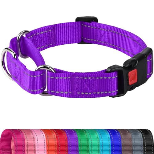 Joytale Martingale Collar for Dogs, Reflective Escape Proof Training Dog Collars with Safety Lock Buckle, No Slip Soft Nylon for Medium Pets, Purple, M by Joytale - Used condition - US$10.08