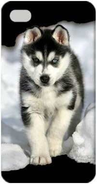 Siberian Husky Puppy TPU Case for iPhone 4/4S