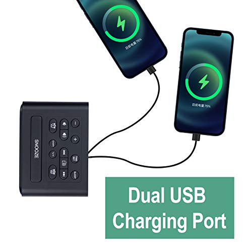 Dgsciency Alarm Clock Radio For Bedroom, Large Lcd Digital Clock With Dual Usb Charger, Brightness Dimmer, Temperature Display, Dual Alarms, Adjustable Alarm Volume, Snooze, Battery Backup #TOP5