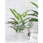 Kunstpflanze mit Topf, Künstliche Pflanzen Deko im Topf, Künstliche Pflanzen Plastik für Schlafzimmer Badezimmer Küchen Zuhause Innen Deko Wohnzimmerzubehör, Zuhause – Bild 3