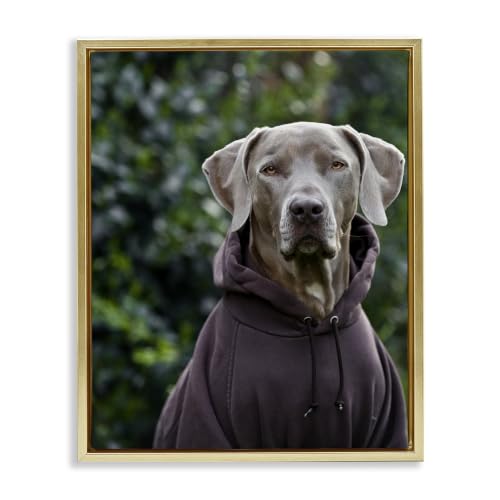 Labrador Dog Sweatshirt Hoodie, 17 x 21 Inch Canvas in Floater Frame
