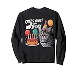 Adult Cat Birthday Party Decorations Boy Girl