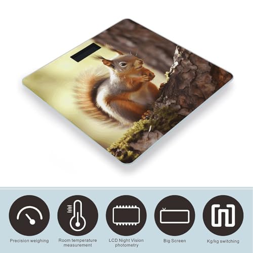 Báscula digital Funny Squirrel de vidrio templado miniatura 3