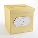 Kate Aspen Collapsible Greeting Card Envelope Box, 10.2W x 10.2D x 10.2H, Gold Shimmer
