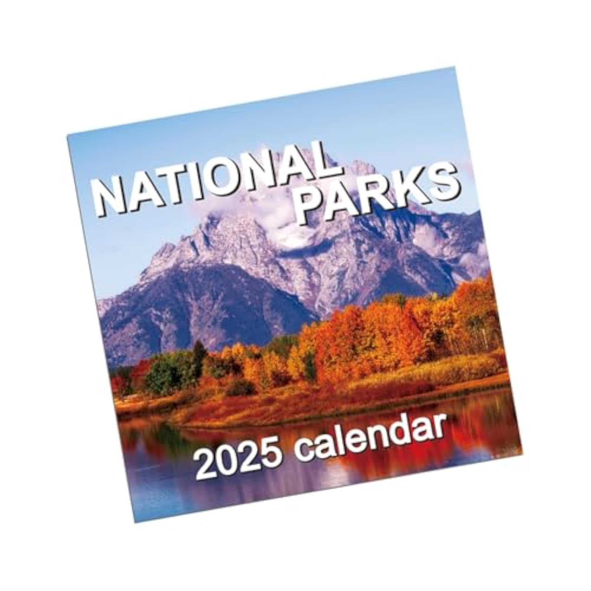 Funny Wall Calendar, Unique Monthly Planner for Home & Holiday