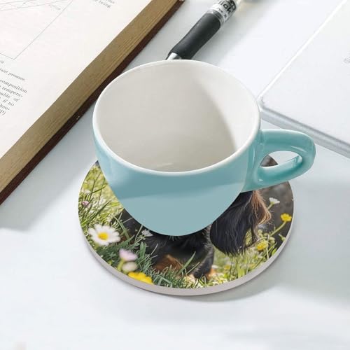 Dessous de verre teckel céramique résistant chaleur - Set de 6 pour table et boissons
